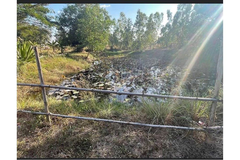 รูป [920461002-412] บ้านพร้อมร้านอาหาร อ.โพนทอง จ.ร้อยเอ็ด - รูปที่ 8/8