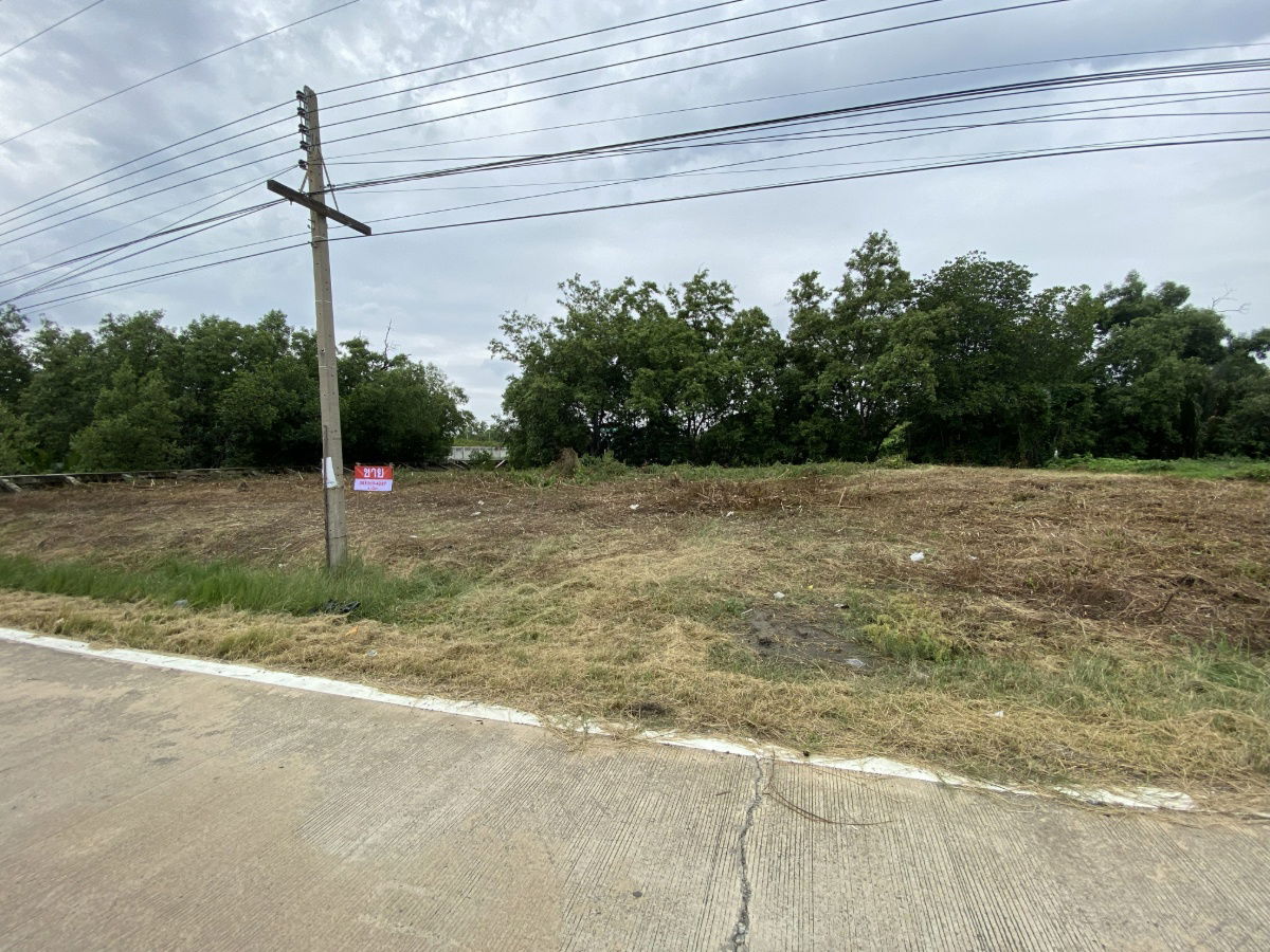 picture Land and for Sale – 212 sq.w. with Canal View - 8/8