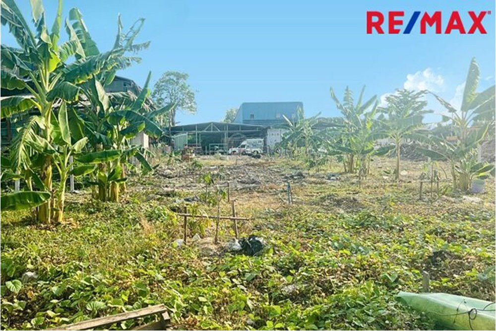 รูป [920091006-309] ขายที่ดิน 205 ตารางวา ซอยศรีด่าน 3/1 แยก 1 ถ.ศรีนครินทร์ แบริ่ง - รูปที่ 2/13