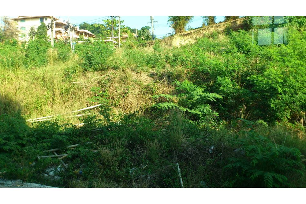 รูป [920081001-1166] "ที่ดินเปล่าทำเลทอง กลางเมืองป่าตอง" - รูปที่ 8/11