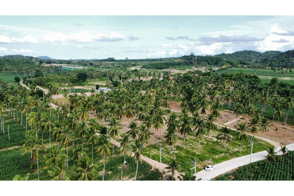 รูป [920311006-251] ขายที่ดิน ต.ห้วยใหญ่ (ชากแง้ว) - รูปที่ 7/21