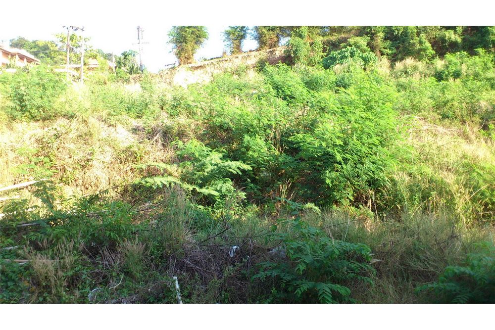 รูป [920081001-1166] "ที่ดินเปล่าทำเลทอง กลางเมืองป่าตอง" - รูปที่ 6/11