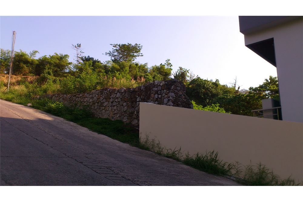 รูป [920081001-1166] "ที่ดินเปล่าทำเลทอง กลางเมืองป่าตอง" - รูปที่ 10/11