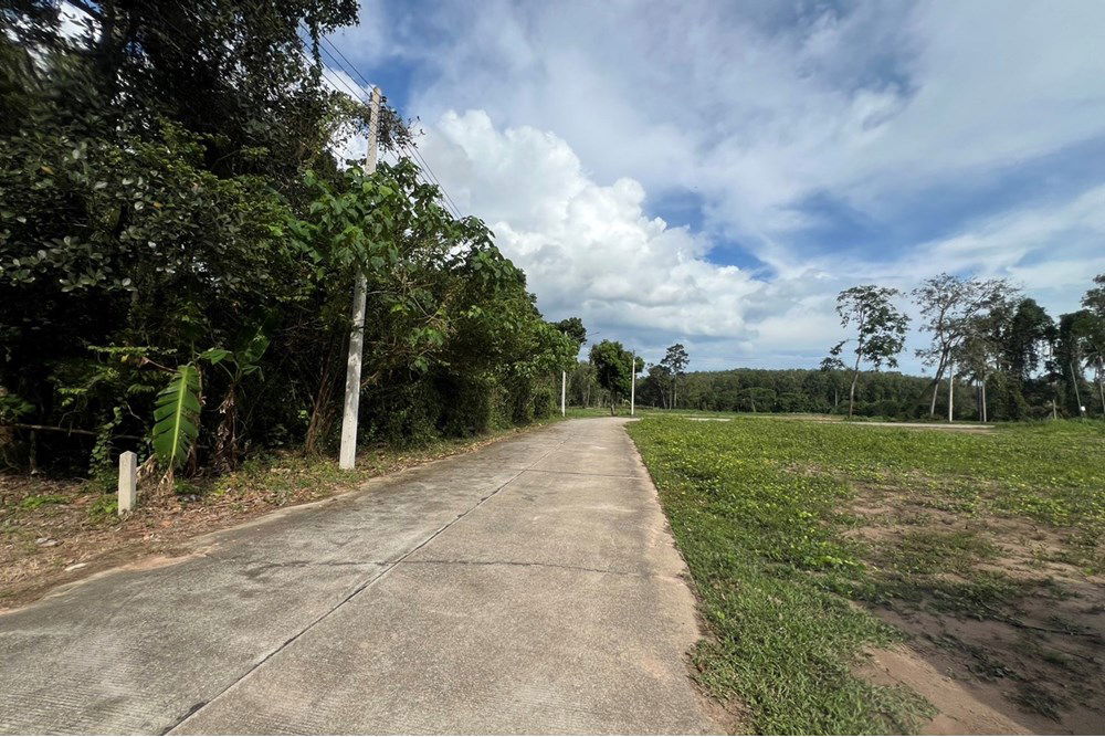รูป [920121030-279] Peaceful Flat Land In Na Mueng, 3,048 SQ.M. 5.5M THB Ready to Build - รูปที่ 7/20