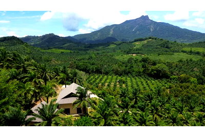 บ้านเดี่ยว เขาพนม กระบี่ : [920281022-6] ขายด่วน ลด 50%