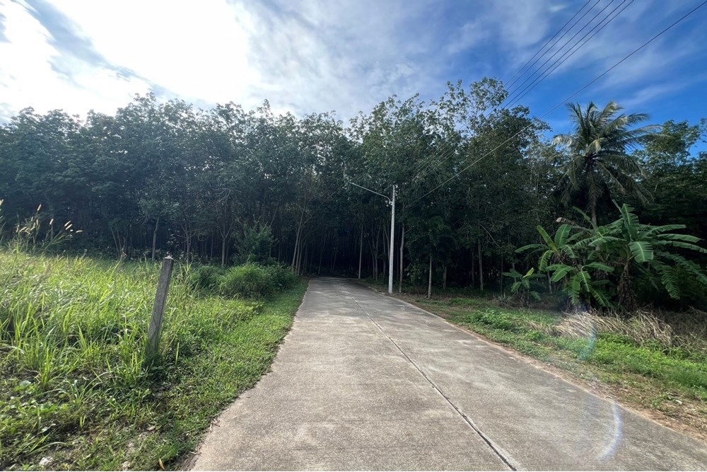 รูป [920121030-279] Peaceful Flat Land In Na Mueng, 3,048 SQ.M. 5.5M THB Ready to Build - รูปที่ 8/20