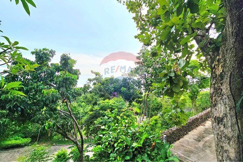 picture [920121018-317] 7 Bedrooms Seaview Villa with 5 Rai +of Land for Sale - 32/34