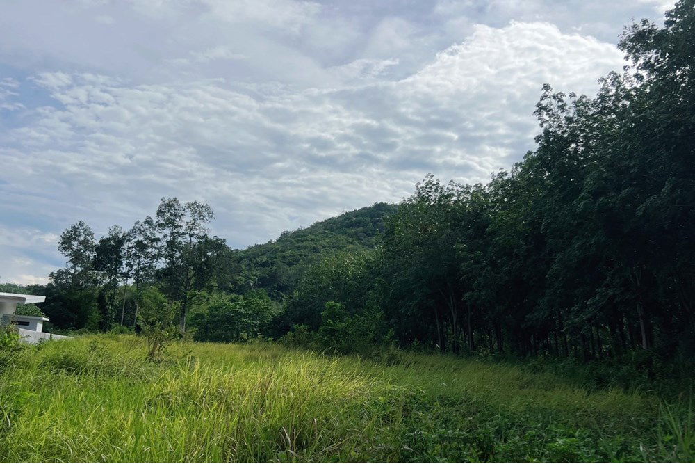 รูป [920121030-279] Peaceful Flat Land In Na Mueng, 3,048 SQ.M. 5.5M THB Ready to Build - รูปที่ 17/20