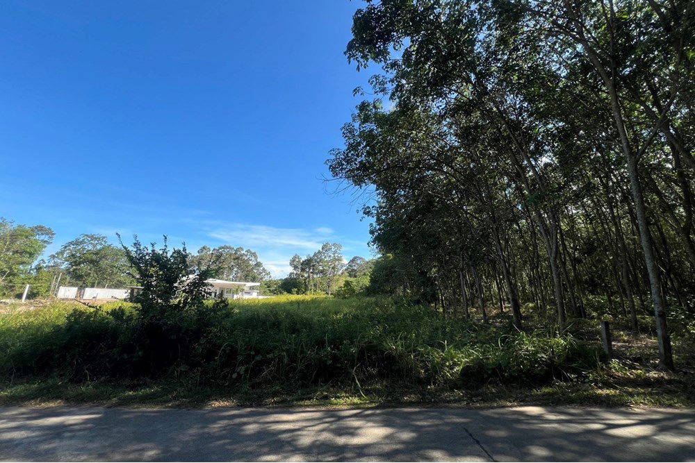 รูป [920121030-279] Peaceful Flat Land In Na Mueng, 3,048 SQ.M. 5.5M THB Ready to Build - รูปที่ 4/20