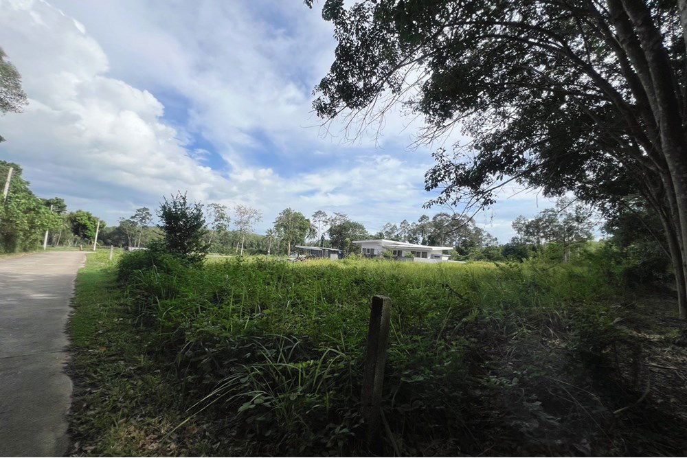 รูป [920121030-279] Peaceful Flat Land In Na Mueng, 3,048 SQ.M. 5.5M THB Ready to Build - รูปที่ 18/20
