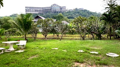 ที่ดิน เมืองราชบุรี ราชบุรี : ต้องการขายบ้านสวนพร้อมที่ดิน ขนาด 3.1 ไร่ (โฉนดครุฑแดง) 