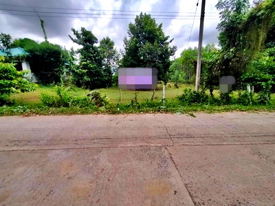 ที่ดิน เกษตรวิสัย ร้อยเอ็ด : A4-0245 ขายที่ดินว่างเปล่า ตำบลเมืองบัว อำเภอเกษตรวิสัย ร้อยเอ็ด (โปรโมชั่นจนถึงวันที่ 30 ธันวาคม 2568)