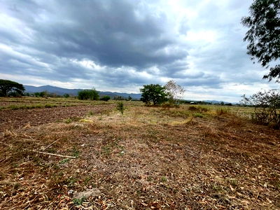 Land for sale : FOR SALE  LAND PROPERTY  650000 BAHT.