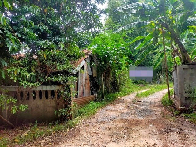 picture FOR SALE LAND PROPERTY 800000 BAHT. - 1/8