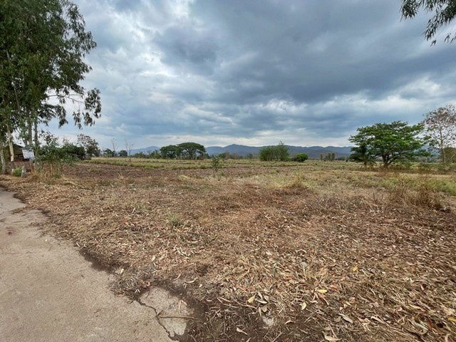 picture FOR SALE  LAND PROPERTY  650000 BAHT. - 2/8