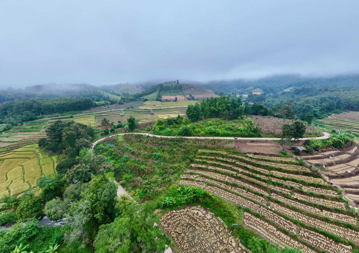 รูป ขายที่ดิน บนเนินดอย ฮวงจุ้ยท้องมังกร เห็นวิวดอยอินทนนท์ ต.ท่าผา อ.แม่แจ่ม จ.เชียงใหม่ ขนาด 2-0-11.8 ไร่ ราคาดีมากๆ - รูปที่ 25/36