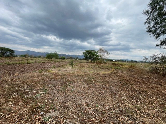 picture FOR SALE  LAND PROPERTY  650000 BAHT. - 7/8