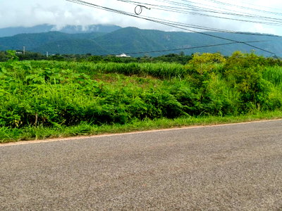 ที่ดิน ปากช่อง โคราช : ขายที่ดินโป่งตาลอง เขาใหญ่ ติดถนนใหญ่เส้นทองอุไร 2213 หนองขี้ตุ่น วิวเขาใหญ่สวยชัดมาก ใกล้ทอสคาน่า Toscana 3052 ที่สูงอากาศดี โซนพระตำหนัก 087-9074045