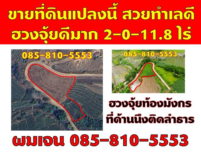 ขายที่ดิน บนเนินดอย ฮวงจุ้ยท้องมังกร เห็นวิวดอยอินทนนท์ ต.ท่าผา อ.แม่แจ่ม จ.เชียงใหม่ ขนาด 2-0-11.8 ไร่ ราคาดีมากๆ 