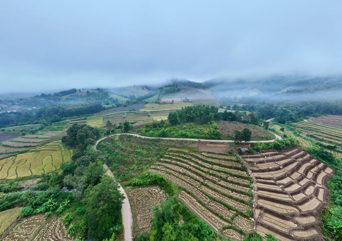 รูป ขายที่ดิน บนเนินดอย ฮวงจุ้ยท้องมังกร เห็นวิวดอยอินทนนท์ ต.ท่าผา อ.แม่แจ่ม จ.เชียงใหม่ ขนาด 2-0-11.8 ไร่ ราคาดีมากๆ - รูปที่ 9/36