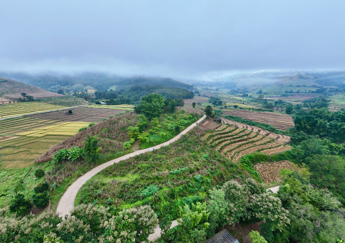 รูป ขายที่ดิน บนเนินดอย ฮวงจุ้ยท้องมังกร เห็นวิวดอยอินทนนท์ ต.ท่าผา อ.แม่แจ่ม จ.เชียงใหม่ ขนาด 2-0-11.8 ไร่ ราคาดีมากๆ - รูปที่ 21/36