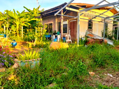 ที่ดิน นิคมปิ่นทอง : ขายที่ดิน 59 ตารางวา ซอย สุขมวิท 49  ใกล้แยกไฟจราจรท่าเรือศรีราขา ฮาเบอร์  ราคา 1.8 ล้านบาท