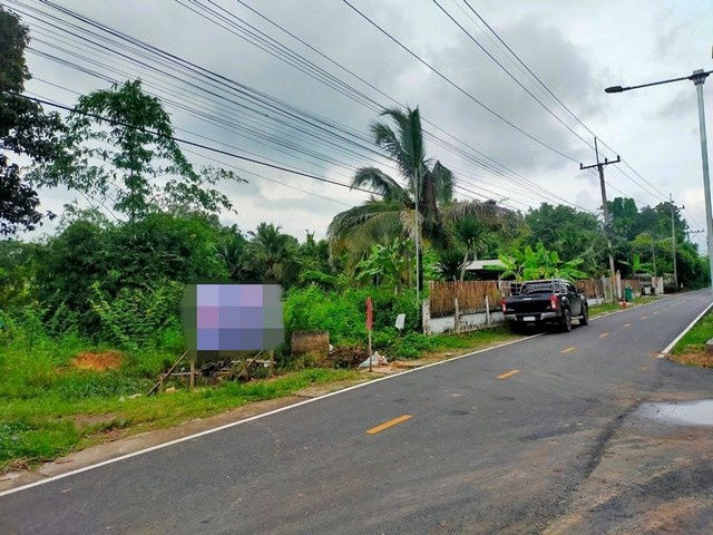 picture FOR SALE  LAND PROPERTY  700000 BAHT. - 6/8