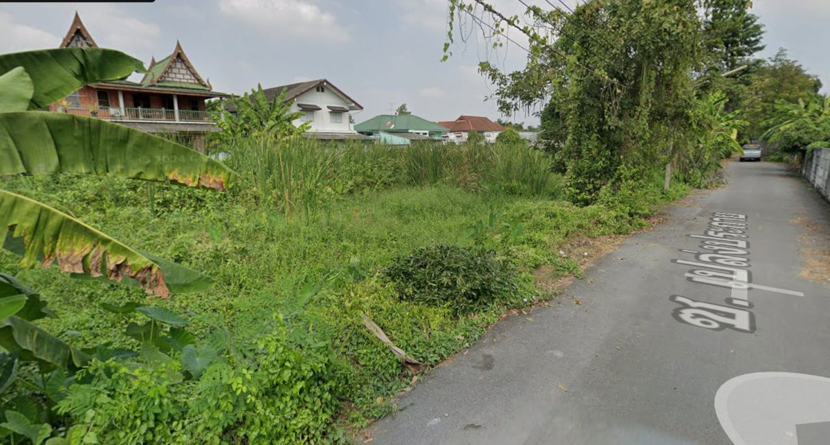 รูป ให้เช่าที่ดิน 500 ตารางวา ซอยเปล่งประกาย ถนนบางกรวย-จงถนอม ใกล้วัดชลอ - รูปที่ 2/2