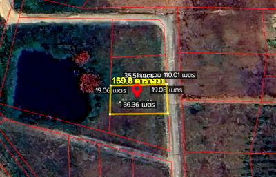ขายที่ดิน : ขายที่ดินเปล่า โฉนดครุฑแดง เขาค้อ ต.แคมป์สน 169.8 ตร.วา ใกล้วัดพระธาตุผาซ่อนแก้ว แปลง06
