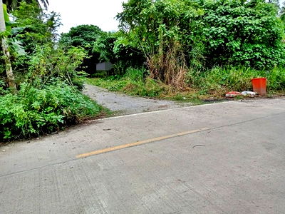 ที่ดิน สุราษฎร์ธานี : A1-0544 ขายที่ดินว่างเปล่า ตำบลปากแพรก อำเภอดอนสัก สุราษฎร์ธานี (โปรโมชั่นจนถึงวันที่ 30 ธันวาคม 2568)