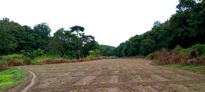 ที่ดิน แม่แตง เชียงใหม่ : ขายที่ดินแม่หอพระใกล้น้ำปิงพัฒนาเรียบร้อย