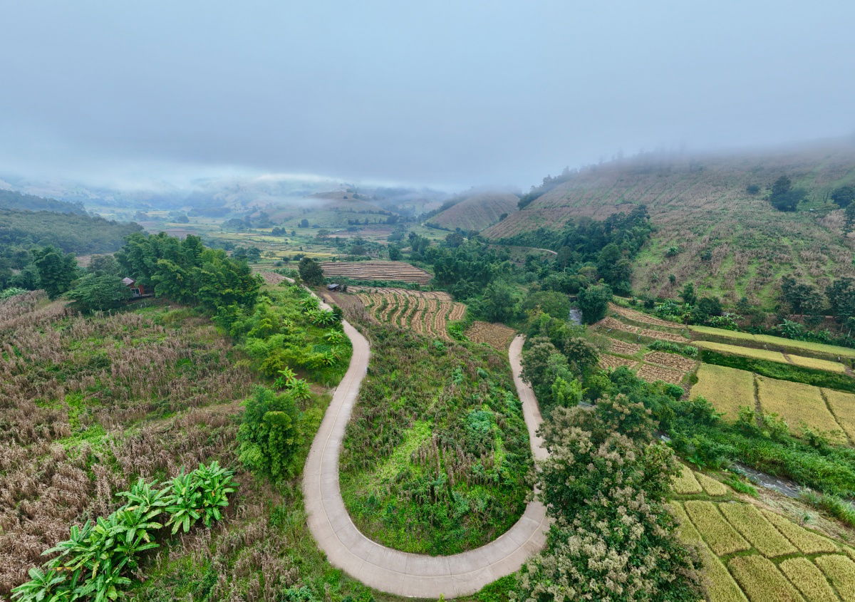 รูป ขายที่ดิน บนเนินดอย ฮวงจุ้ยท้องมังกร เห็นวิวดอยอินทนนท์ ต.ท่าผา อ.แม่แจ่ม จ.เชียงใหม่ ขนาด 2-0-11.8 ไร่ ราคาดีมากๆ - รูปที่ 19/36