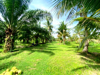 ที่ดิน หัวหิน ประจวบคีรีขันธ์ : ขายที่ดินสวย อำเภอหัวหิน ทับใต้ จังหวัดประจวบฯ 24 ไร่ 1งาน 73 ตารางวา เหมาะทำโครงการบ้านจัดสรร/รีสอร์ทได้