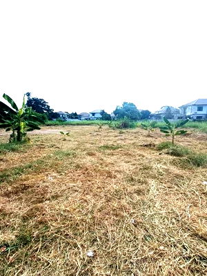 ที่ดิน เซ็นทรัล พลาซ่า เวสต์เกต : ขายที่ดินราคาถูก ใกล้ MRT ท่าอิฐ 2 ไร่ ซ.บางรักน้อย 11 ท่าอิฐ ถ.รัตนาธิเบศร์ -ถ.ราชพฤกษ์ บางรักน้อย เมือง นนทบุรี 11000