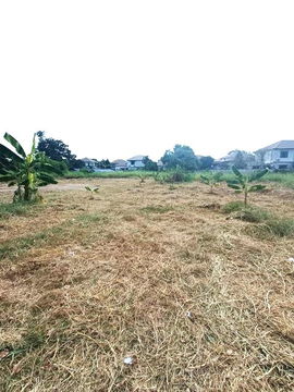 ขายที่ดินราคาถูก ใกล้ MRT ท่าอิฐ 2 ไร่ ซ.บางรักน้อย 11 ท่าอิฐ ถ.รัตนาธิเบศร์ -ถ.ราชพฤกษ์ บางรักน้อย เมือง นนทบุรี 11000