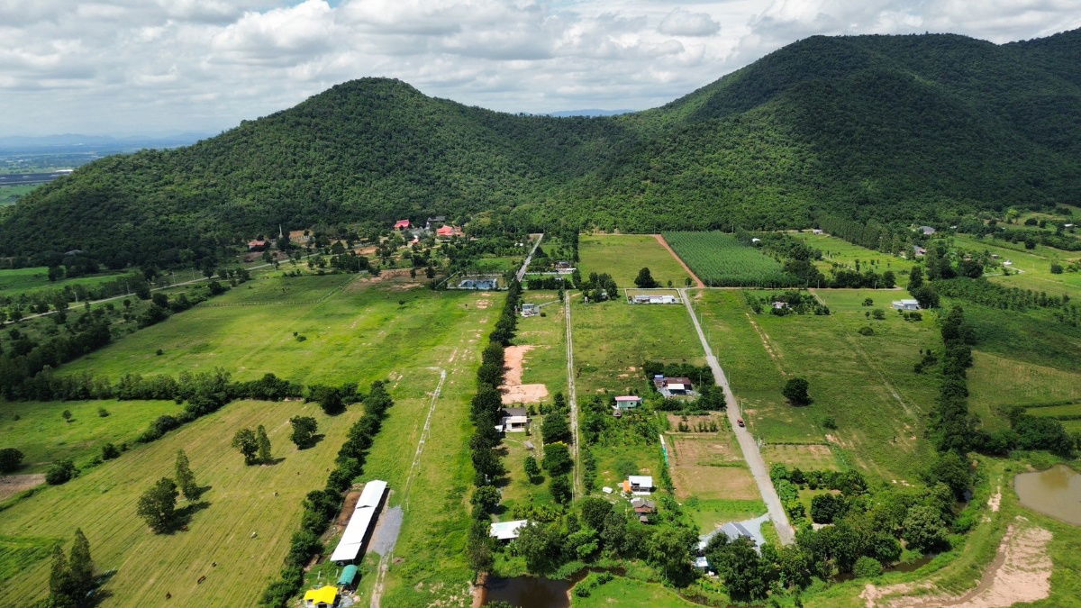 รูป ที่ดิน ต.หนองประดู่ อ.เลาขวัญ จ.กาญจนบุรี - รูปที่ 2/2