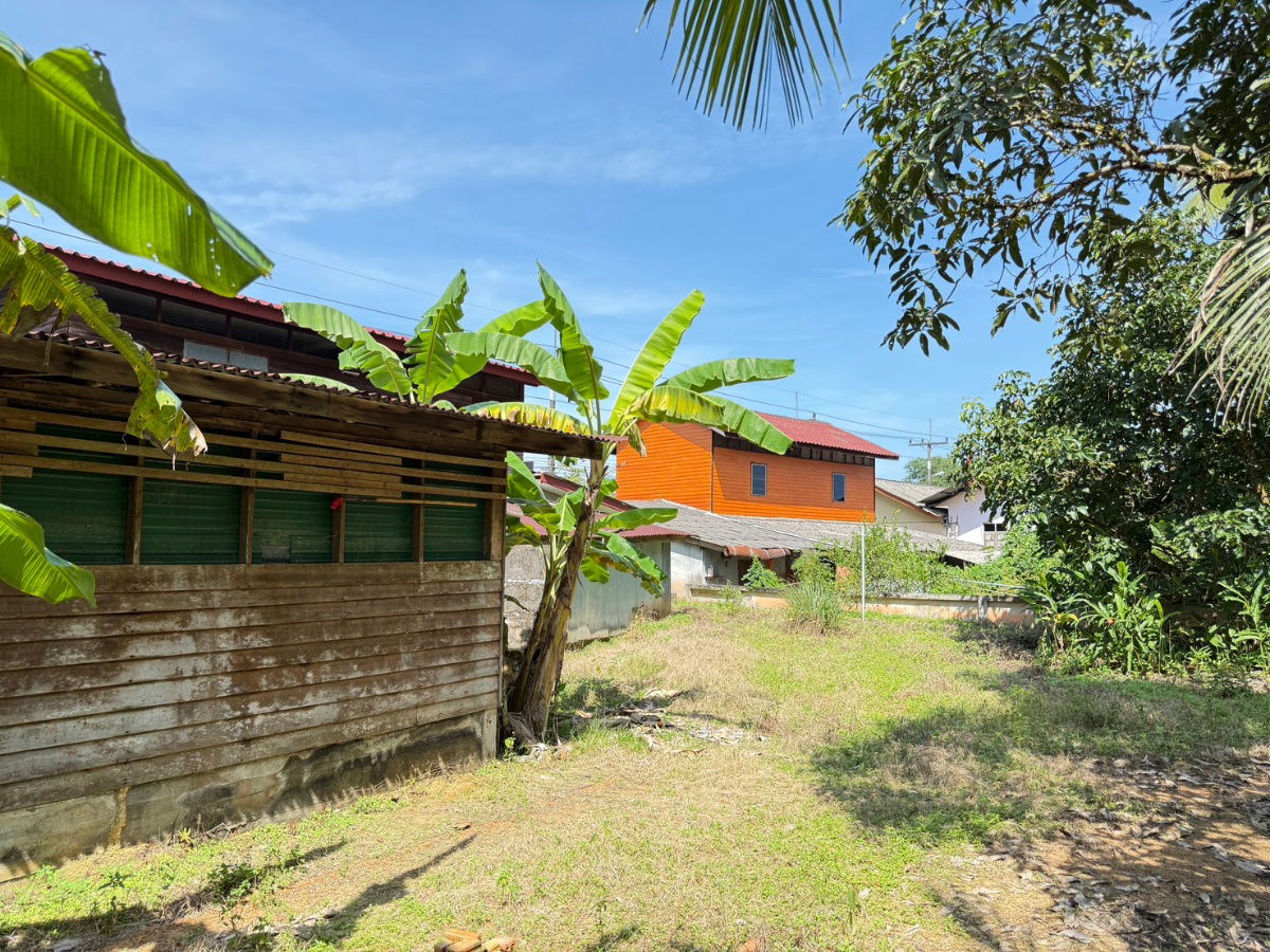 รูป ขายบ้านนราธิวาส บ้านเดี่ยวครึ่งปูนครึ่งไม้ - รูปที่ 12/14