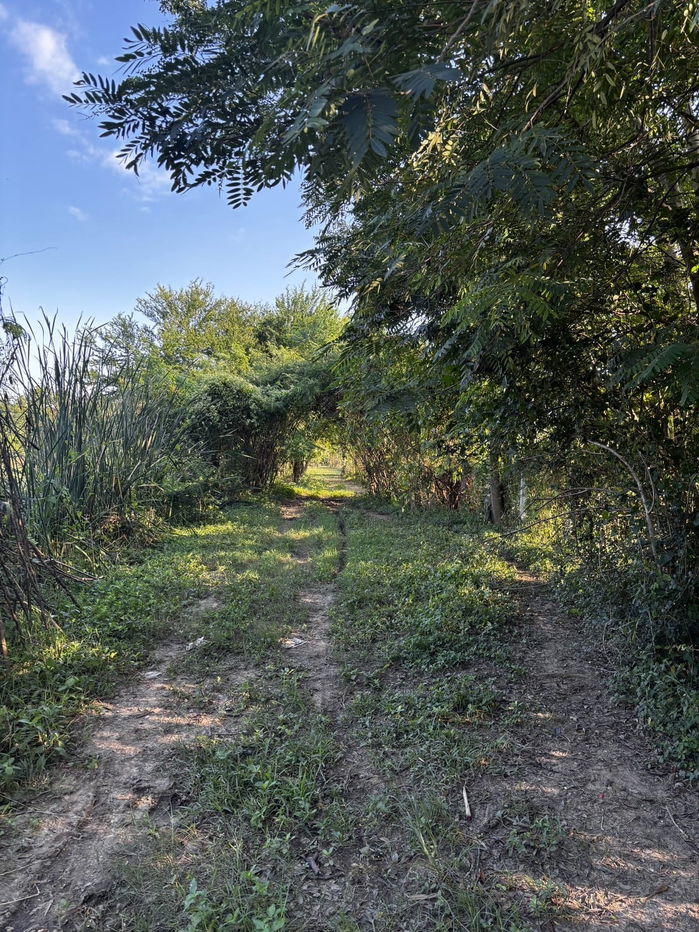 รูป ⭐️ ที่ดินติดถนน ขายด่วน! 7 ไร่ 57 ตรว. อ.บ้านโป่ง ราชบุรี | เจ้าของขายเอง ⭐️ - รูปที่ 19/22