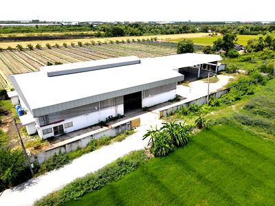 โรงงาน ไทรน้อย นนทบุรี : ขายโรงงานและโกดัง พื้นที่กว้างพร้อมใช้งาน ไทรใหญ่ ไทรน้อย นนทบุรี