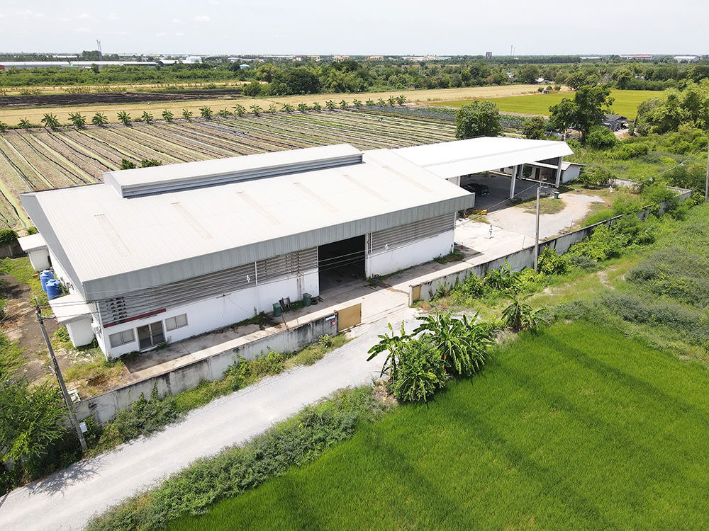 รูป ขายโรงงานและโกดัง พื้นที่กว้างพร้อมใช้งาน ไทรใหญ่ ไทรน้อย นนทบุรี - รูปที่ 1/12