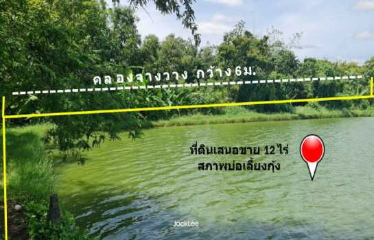 รูป ขาย ที่ดิน ติดถนนเลียบคลองจางวาง ใกล้แม่น้ำบางปะกง อ.บ้านโพธิ์ แปลงสวย 12 ไร่ ติดโครงการบางปะกงริเวอร์ไซด์ พร้อมโอน ฟรีค่าโอน ราคายุติธรรม - รูปที่ 2/12