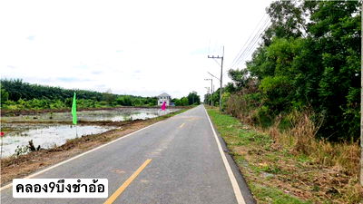 ที่ดิน หนองเสือ ปทุมธานี : ขายที่ดินคลอง 9 ตะวันตก หนองเสือ ปทุมธานี ตรงข้ามวัดบึงกาสาม
