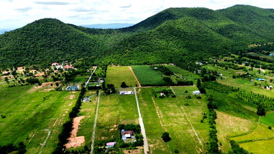 ที่ดิน เลาขวัญ กาญจนบุรี : ที่ดิน ต.หนองประดู่ อ.เลาขวัญ จ.กาญจนบุรี