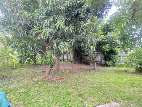 รูป ขายที่ดินถมแล้วพร้อมสวนต้นไม้ร่มรื่น 70ตรว. ทำเลดีมาก ในซอยร่มรื่น เงียบสงบ ดอนเมือง ซ.วัดเวฬุวนาราม 9 แยก14 กรุงเทพ - รูปที่ 5/8