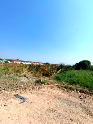 ที่ดิน เขตหนองจอก : ขายที่ดินเปล่า ราคาถูก 9-3-20 ไร่ ซ.อยู่วิทยา 7-ซ.สังฆสันติสุข 12 แขวงกระทุ่มราย เขตหนองจอก กรุงเทพมหานคร 10530