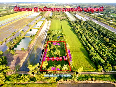 ที่ดิน หนองเสือ ปทุมธานี : ที่ดินสวยใกล้วัดป่าคลอง 11 คลอง 11 อ.หนองเสือ จ.ปทุมธานี