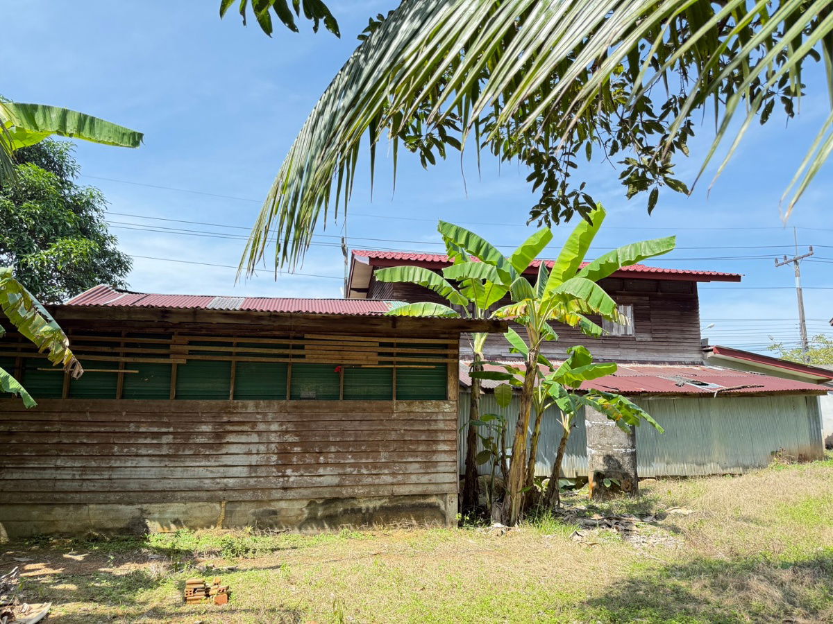 รูป ขายบ้านนราธิวาส บ้านเดี่ยวครึ่งปูนครึ่งไม้ - รูปที่ 11/14