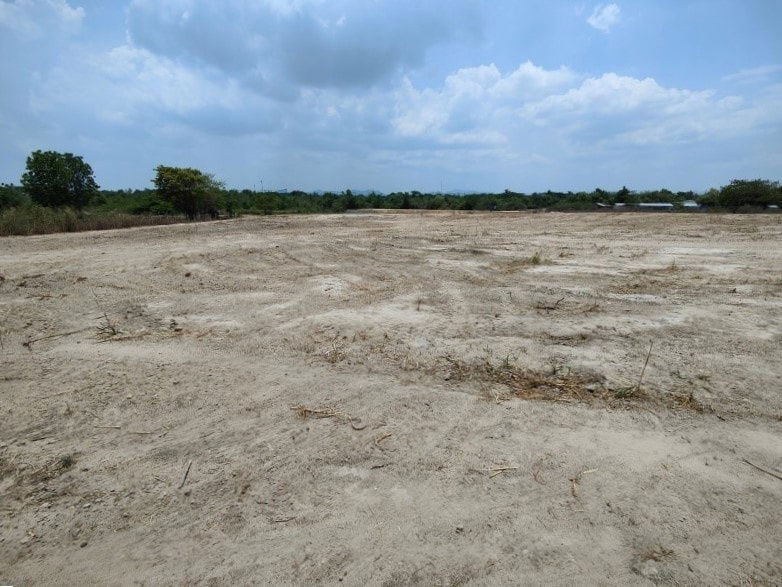 picture 4-3-75 Rai | Hot! Bargain Priced Land! Ideal For Home Development - Must See! - 8/19