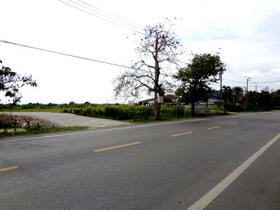 ที่ดิน เขตหนองจอก : ที่ดินติดถนนร่วมพัฒนา-สุวินทวงศ์ กม.43 หนองจอกพื้นที่7ไร่ ใก้ลขนส่งพื้นที่4 ออกถนนสุวินทวงศ์,หลวงแพ่งลาดกระบังได้เหมาะทำปั๊ม,โกดัง,โครงการบ้านจัดสรร