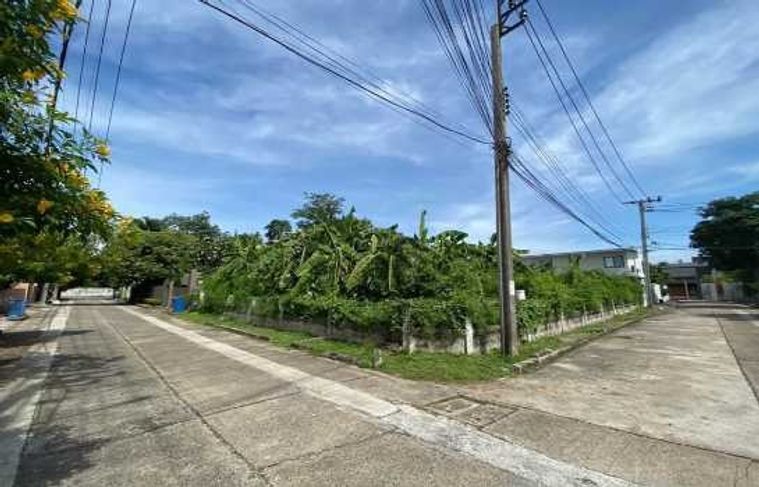 ขายที่ดิน 140 ตร.ว. เขตตลิ่งชัน